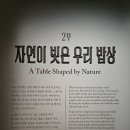 오래된 그림일기(2 | 매일 마주하는 밥상, 우리의 삶을 담다 | 국립중앙박물관 「우리들의 밥상」 특별전