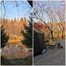 일신오토 | 여주 캠핑장 자연 중심에서의 힐링 호수산장캠핑장