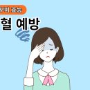 오늘은 쭈꾸미