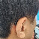 대동 독일보청기 이미지