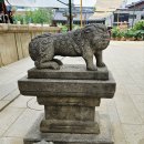 “복을 받는 불자, 복덕을 짓는 불교대학 총동문회”-명경스님(조계사 사회사서국장)-불기2569년 8월 정기법회 봉행 이미지