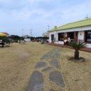 니나노 제주 이미지