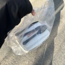 구스켓 인 더 크로플 | [경산카페] 구스켓 인 더 크로플 영남대 본점, 두바이 크로플&amp;황치즈 생크림 크로플 (내돈내산)