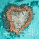 (주)퀸즈라이브 이미지