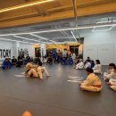 링 종합격투기 이미지