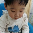 잠두유치원 이미지