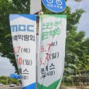 홈리빙인테리어 구경하러 다녀온 일산 킨텍스 ㅣ 솔직 후기