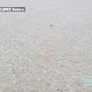 묵찌빠클린 이미지