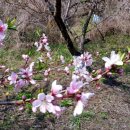 문촌1리 이미지