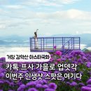 경남카서비스(경남부분정비) | 경남 거창 감악산 아스타국화 9월 축제 실시간 개화 상황