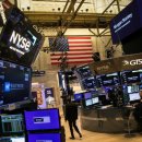 다우피드 이미지