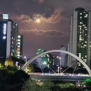 수석행정사사무소 이미지