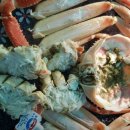 울진대게 이미지