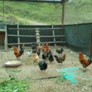 장선농장 이미지