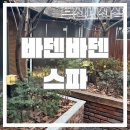 바덴바덴스파 | 서면사우나, 부산세신샵 바덴바덴스파