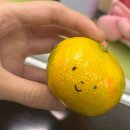 마이스쿨라이프 이미지