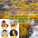 지리산꽃담 | 구례 산수유꽃축제 가기 전 필독! 2026 실시간 개화현황부터 초대가수 손태진 주차 셔틀까지