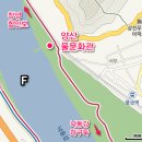 배꼽없는열매 이미지