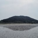 제9회 디카시 신인/ 김경화. 도유정 이미지