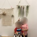 보물집 이미지