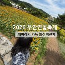 무안농협 망운지점 | 2026 전남무안축제 해바라기 가득한 [회산 백련지무안 연꽃축제]