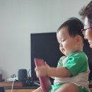 상채농장 네이버블로그