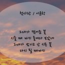 우성삼계탕 이미지