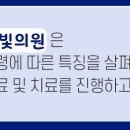 손범수달빛의원 이미지