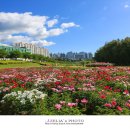 태화강국가정원 이미지