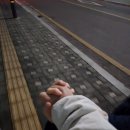 명랑핫도그 코스트코점 이미지