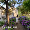 국악콘서트 다담: 김홍신-인생에도 사용설명서가 있다 | 경남 진주 월아산 숲속의 진주 수국축제 정원박람회 경남수국명소