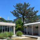 기장청소년센터 | 정관심리상담센터 _ 청소년상담부터 성인상담까지, 상담의 시작은 이해입니다