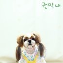 개나리유치원 이미지