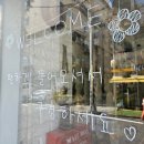 퍼피살롱 이미지