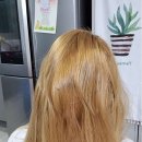 드라코살롱