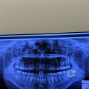 랜더스치과의원 이미지