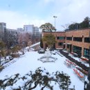 노은로(유성-22) 이미지