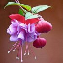 만덕초교 이미지