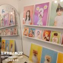특별한 날 우리아이 기념사진 [치카치코스튜디오 키즈프로필]