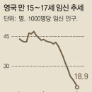 센시블 이미지