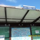 효석문학100리길 제4구간 이미지