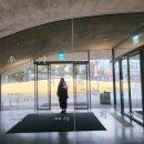 지워시 | [스페이스K서울]무나씨 《우리가 지워지는 계절에》 관람 후기(고요히 마음 수련하기)