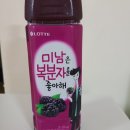 롯데칠성음료순창점 | 미남이 좋아하는 음료-미남은 복분자를 좋아해 솔직리뷰