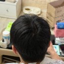 부여플스방 | [끄적끄적] 예지니의 6월 일상 모음집<기록용>