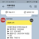 네 여자 모시고 4박 5일 동경 자유여행 갑니다 . . 이미지