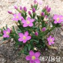 용담하우스 이미지