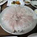 호박포차횟집 | 부산 연산동 가성비 횟집 포항물회 부산시청 회 맛집