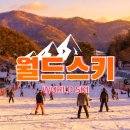 강촌 | 강촌 스키강습 이용 후기