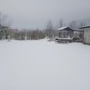 도로시하우스 이미지