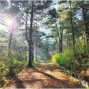 내4리 마을회관 이미지